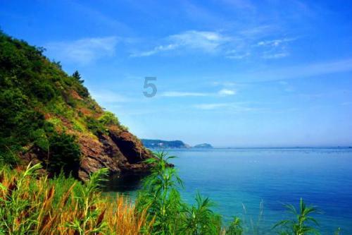 沂南这个村!发钱!
